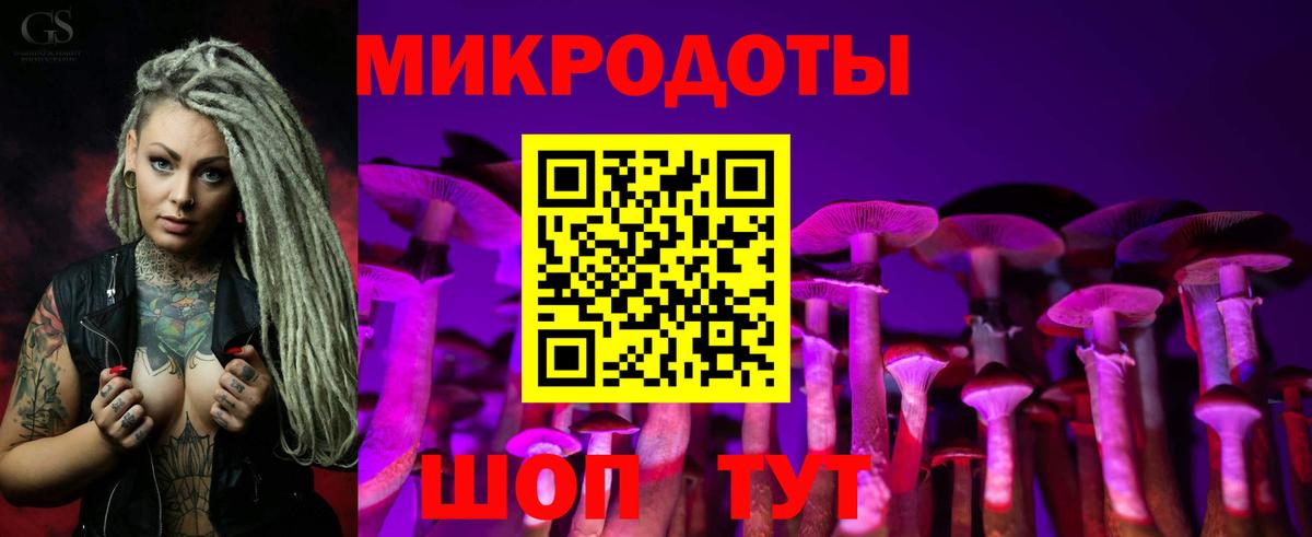 Псилоцибиновые грибы Cubensis Новый Уренгой