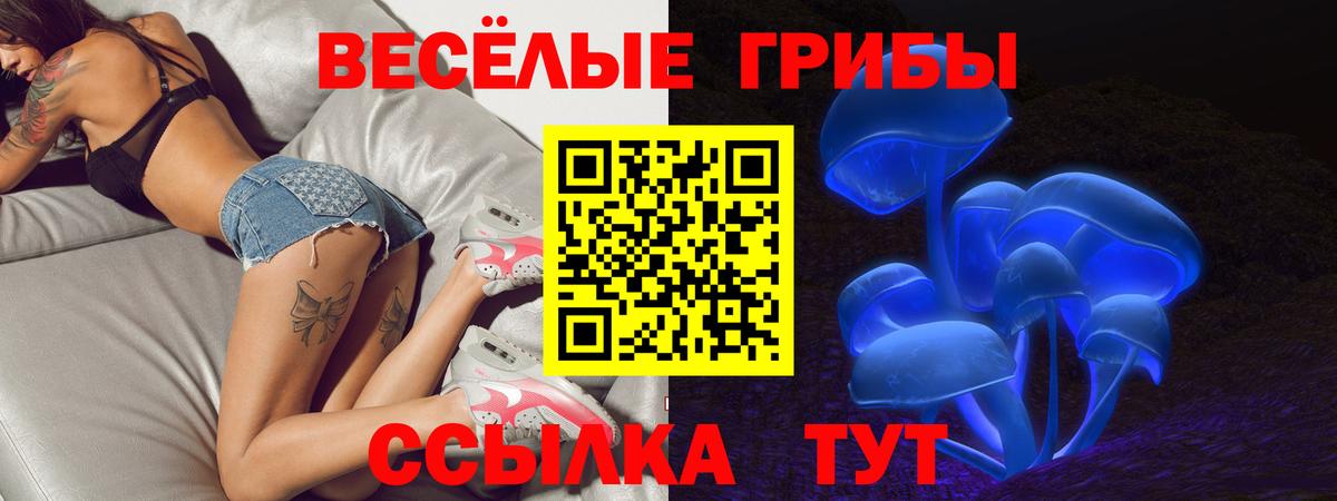Псилоцибиновые грибы Psilocybine cubensis  хочу   Новый Уренгой  Вход с VPN 